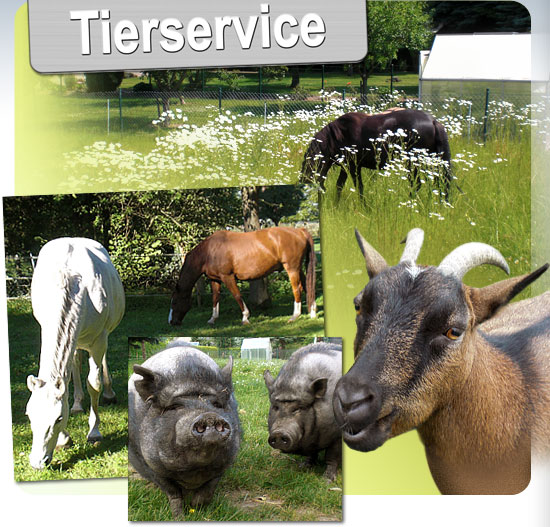 Große Tiere